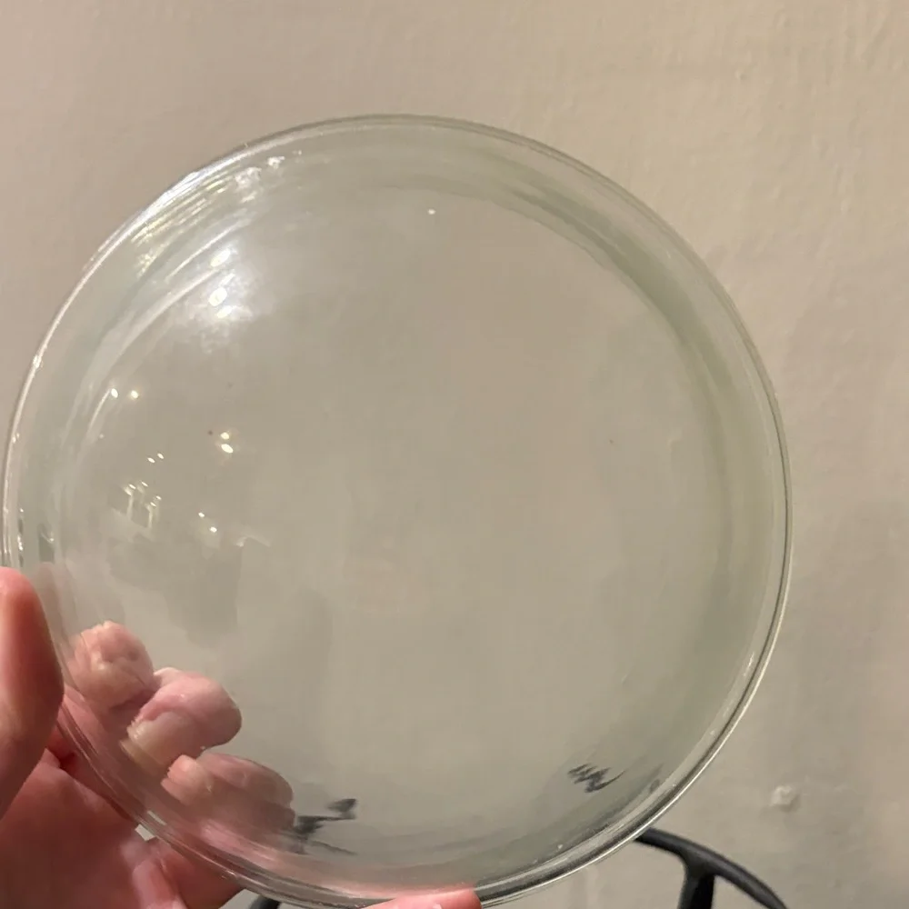 Glass Serving Bowl with Black Metal Stand - Clear/Black
